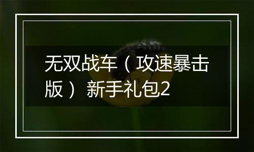 无双战车（攻速暴击版） 新手礼包2