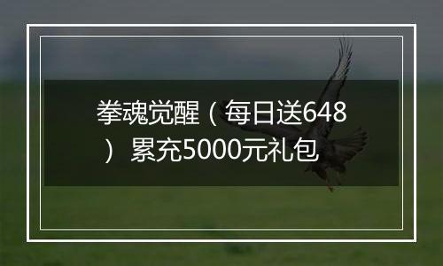 拳魂觉醒（每日送648） 累充5000元礼包