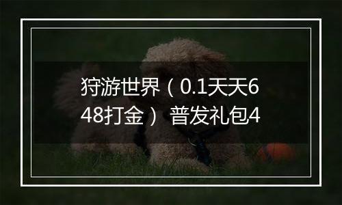 狩游世界（0.1天天648打金） 普发礼包4