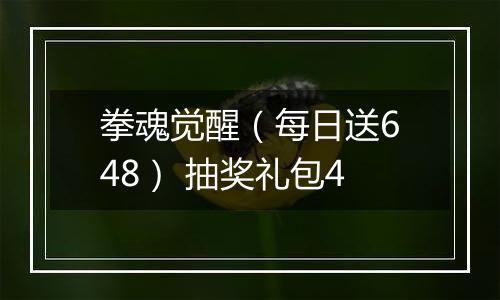 拳魂觉醒（每日送648） 抽奖礼包4
