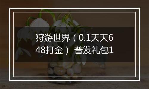 狩游世界（0.1天天648打金） 普发礼包1