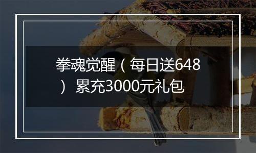 拳魂觉醒（每日送648） 累充3000元礼包