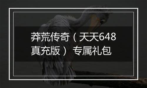 莽荒传奇（天天648真充版） 专属礼包