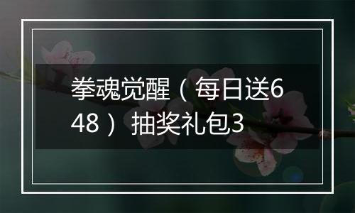拳魂觉醒（每日送648） 抽奖礼包3
