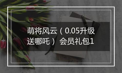 萌将风云（0.05升级送哪吒） 会员礼包1