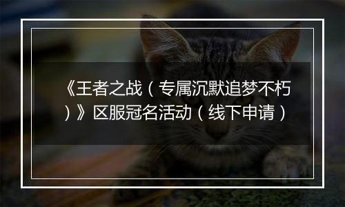 《王者之战（专属沉默追梦不朽）》区服冠名活动（线下申请）