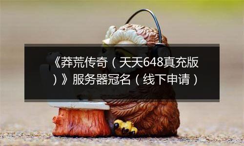 《莽荒传奇（天天648真充版）》服务器冠名（线下申请）