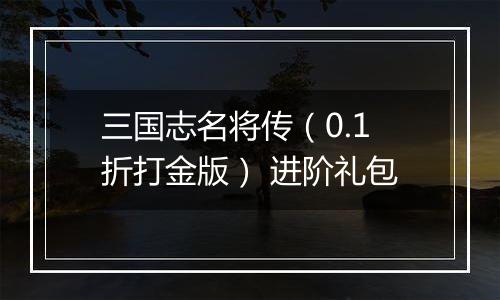三国志名将传（0.1折打金版） 进阶礼包