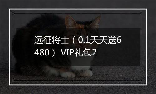远征将士（0.1天天送6480） VIP礼包2