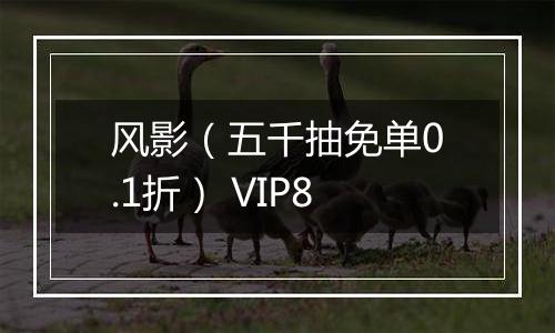 风影（五千抽免单0.1折） VIP8
