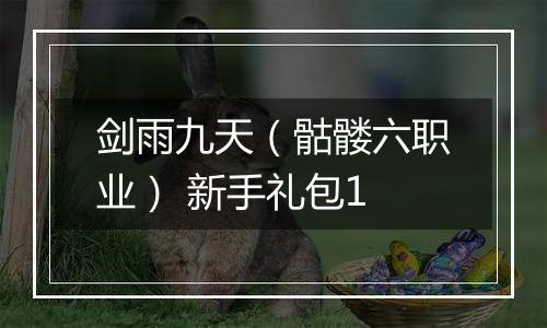剑雨九天（骷髅六职业） 新手礼包1