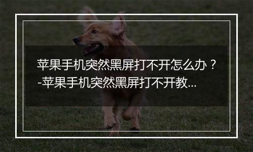 苹果手机突然黑屏打不开怎么办?-苹果手机突然黑屏打不开教程