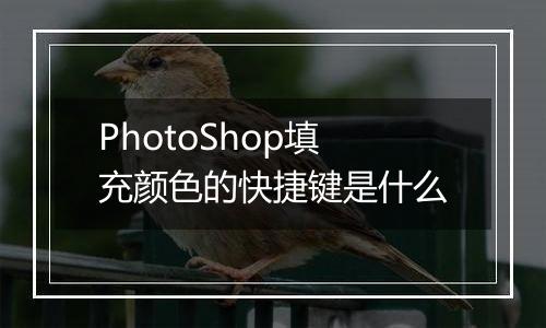 PhotoShop填充颜色的快捷键是什么