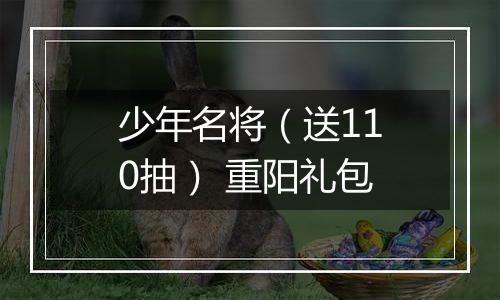 少年名将（送110抽） 重阳礼包