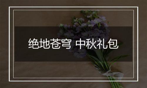 绝地苍穹 中秋礼包