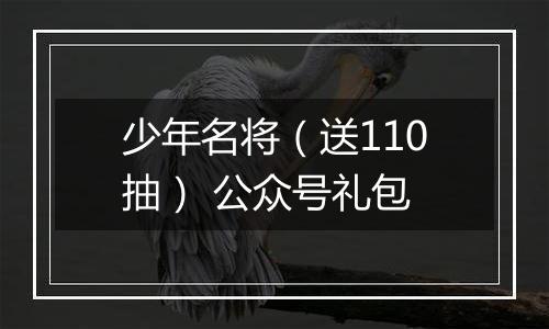 少年名将（送110抽） 公众号礼包
