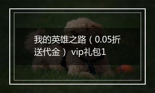 我的英雄之路（0.05折送代金） vip礼包1