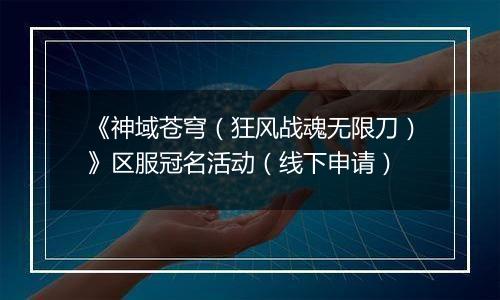 《神域苍穹（狂风战魂无限刀）》区服冠名活动（线下申请）