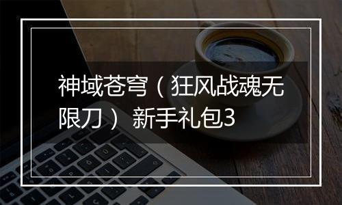 神域苍穹（狂风战魂无限刀） 新手礼包3