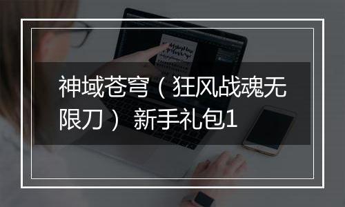 神域苍穹（狂风战魂无限刀） 新手礼包1