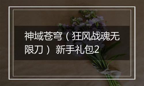 神域苍穹（狂风战魂无限刀） 新手礼包2