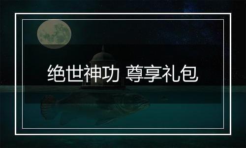 绝世神功 尊享礼包
