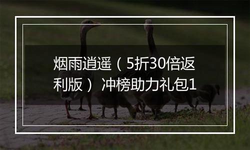 烟雨逍遥（5折30倍返利版） 冲榜助力礼包1
