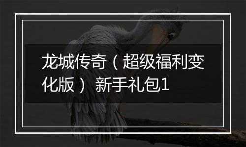 龙城传奇（超级福利变化版） 新手礼包1