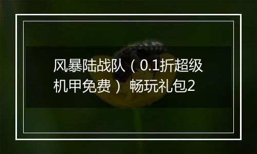 风暴陆战队（0.1折超级机甲免费） 畅玩礼包2