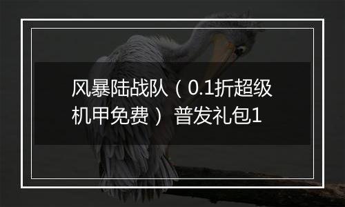 风暴陆战队（0.1折超级机甲免费） 普发礼包1