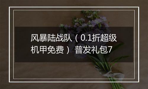 风暴陆战队（0.1折超级机甲免费） 普发礼包7