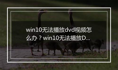 win10无法播放dvd视频怎么办？win10无法播放DVD的解决方法