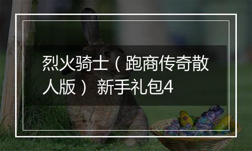 烈火骑士（跑商传奇散人版） 新手礼包4