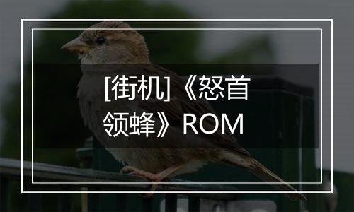 [街机]《怒首领蜂》ROM