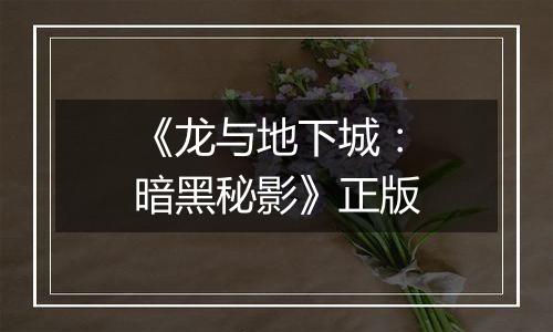 《龙与地下城：暗黑秘影》正版