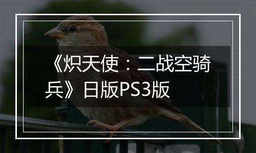 《炽天使：二战空骑兵》日版PS3版