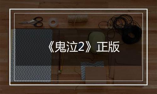 《鬼泣2》正版