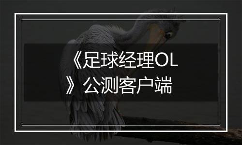 《足球经理OL》公测客户端