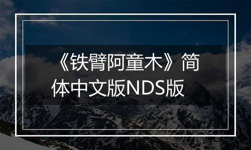 《铁臂阿童木》简体中文版NDS版