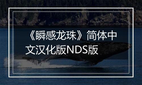 《瞬感龙珠》简体中文汉化版NDS版