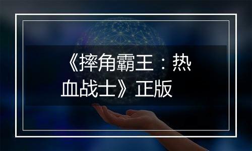 《摔角霸王：热血战士》正版