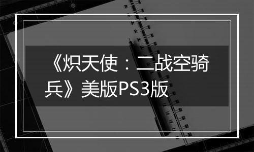 《炽天使：二战空骑兵》美版PS3版