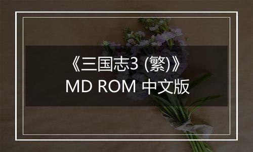 《三国志3 (繁)》MD ROM 中文版