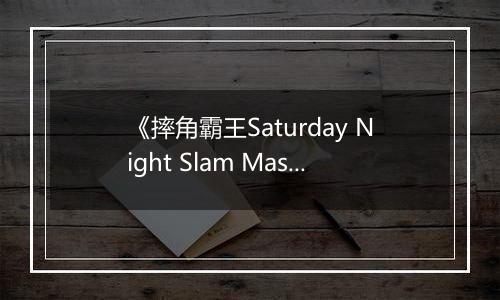 《摔角霸王Saturday Night Slam Masters》官方版