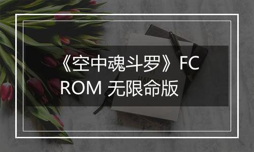 《空中魂斗罗》FC ROM 无限命版