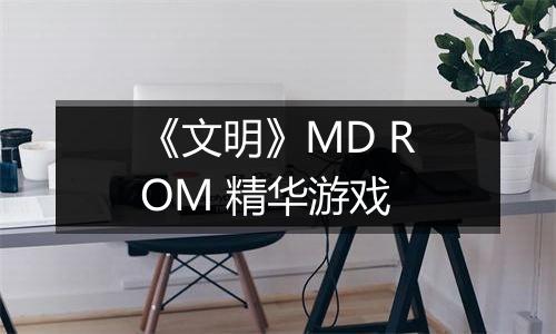 《文明》MD ROM 精华游戏