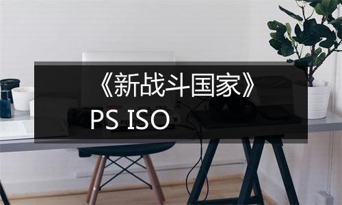 《新战斗国家》PS ISO