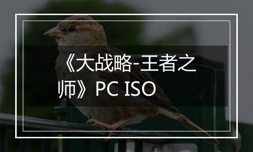 《大战略-王者之师》PC ISO