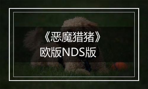 《恶魔猎猪》 欧版NDS版