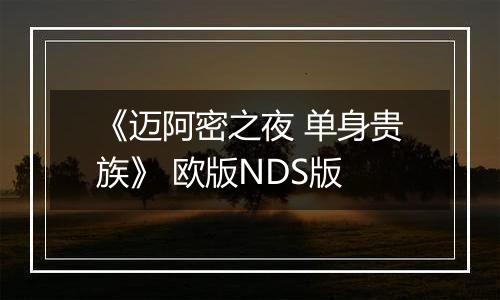 《迈阿密之夜 单身贵族》 欧版NDS版